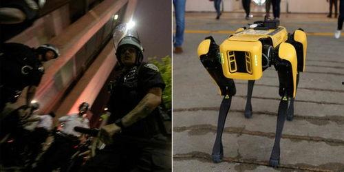 国产机器狗视频亮相街头,智能科技引领未来潮流