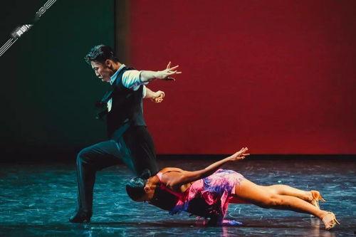 国产剧情 舞蹈系列视频,探寻中国舞蹈文化的魅力之旅